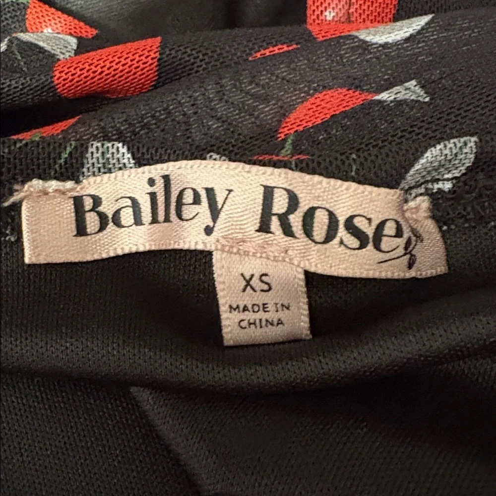 Bailey Rose Cherry Print Black Mesh Maxi Skirt w Slit up the Side Leg Revolve